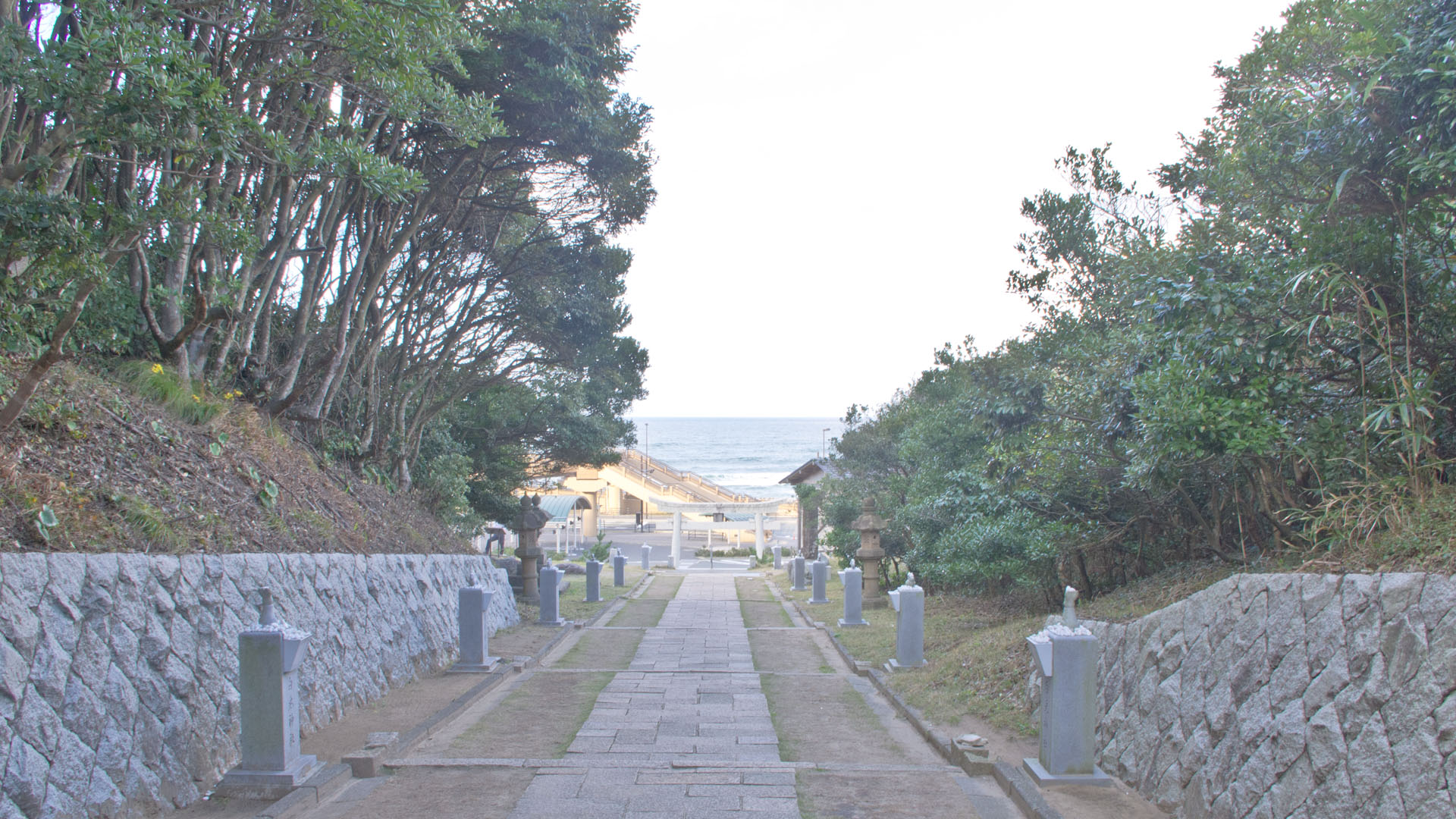 白兎神社の参道